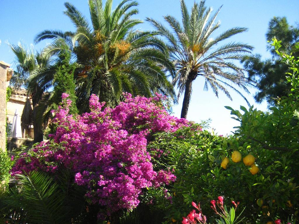 Finca Raims อัลไกดา ภายนอก รูปภาพ
