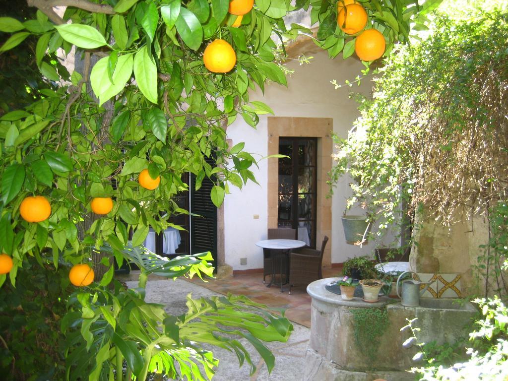 Finca Raims อัลไกดา ภายนอก รูปภาพ